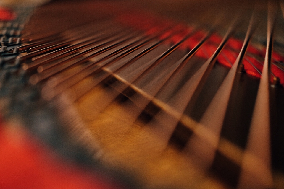 Cor instrumento musical vermelho guitarra