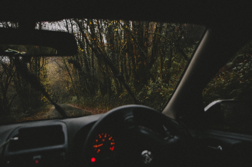 Lumière voiture conduite véhicule