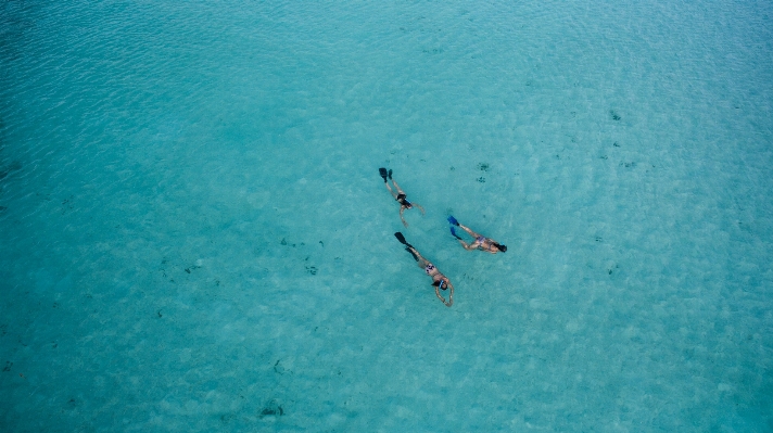 Sea water diving underwater Photo