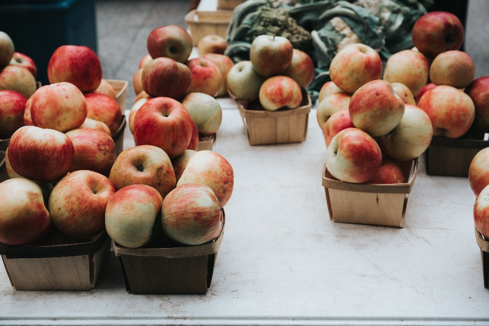 Apple plantar fruta comida