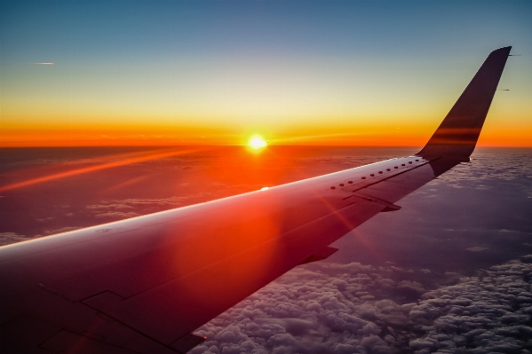 Horizon wing sunrise sunset Photo