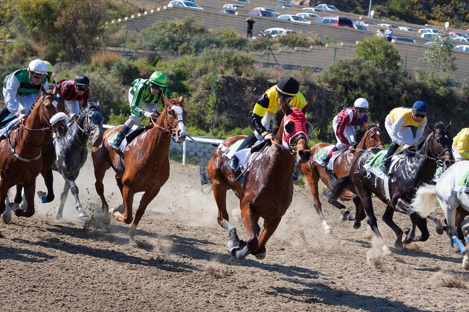 Course des sports courses jockey