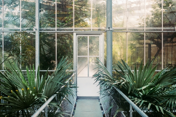 木 植物 花 家 写真