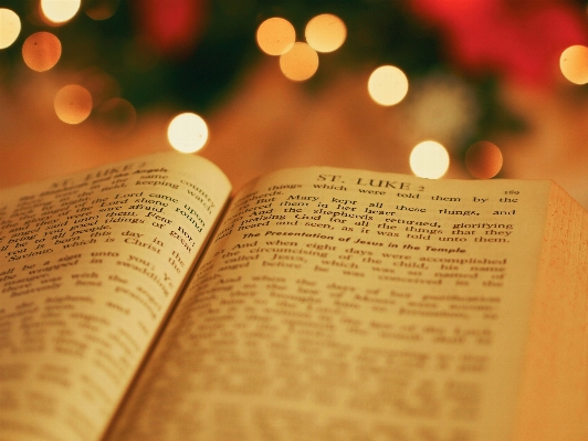 Book bokeh page bible Photo