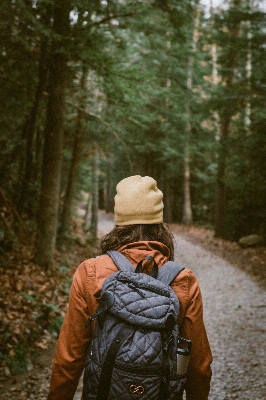 Foto Pria alam hutan gurun
