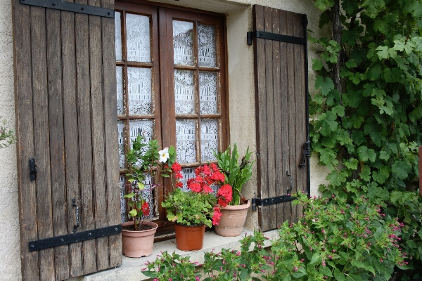 Foto Casa flor janela lar