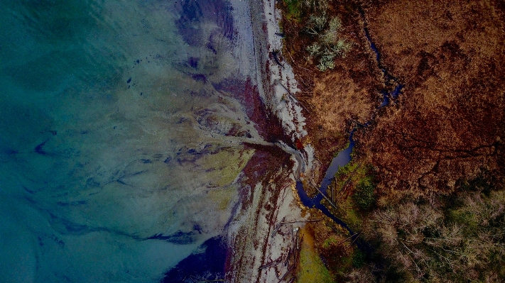 Beach water coastal formation Photo