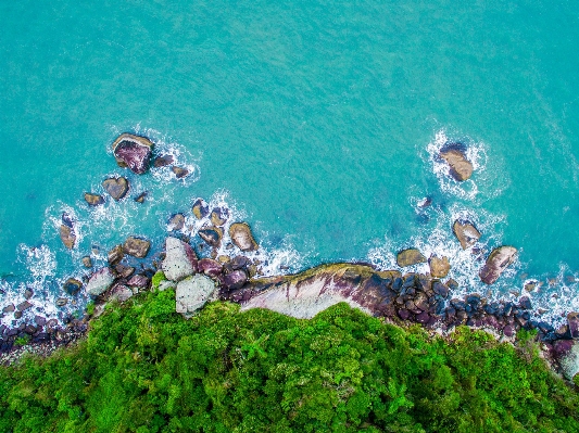 Sea tree water rock Photo