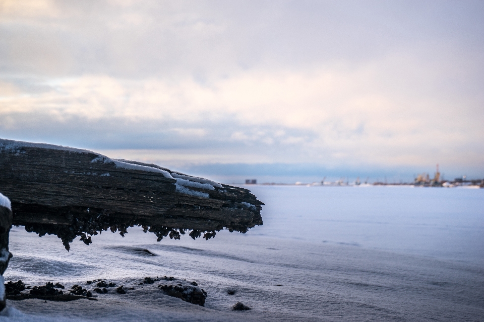 пляж море побережье вода