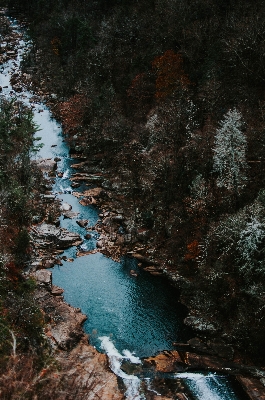 Landscape tree water nature Photo