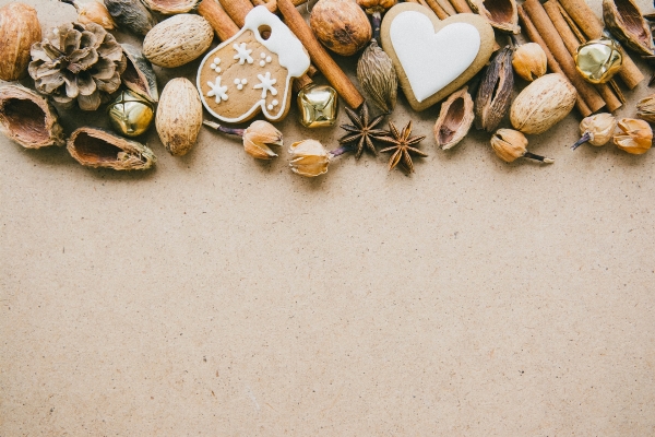 Wood leaf flower petal Photo