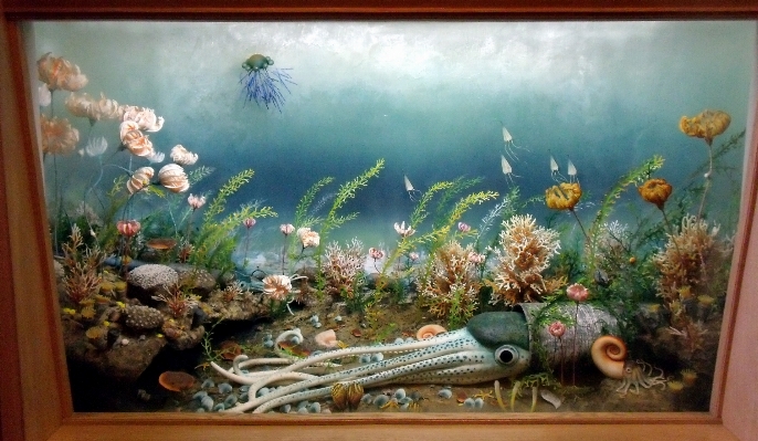 Museum biology fauna painting Photo