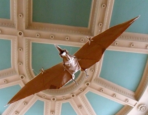 Wing flying ceiling model Photo