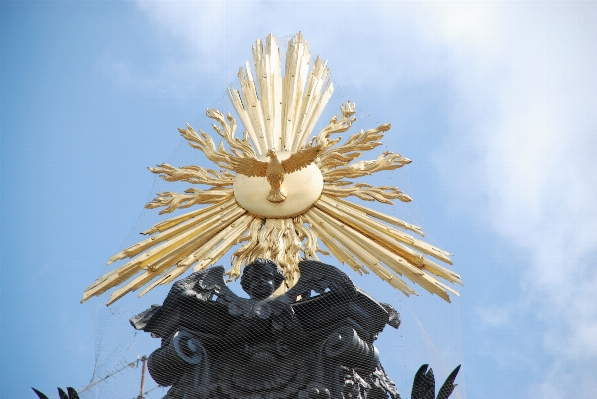 Sonnenlicht blume stadt stadtbild Foto