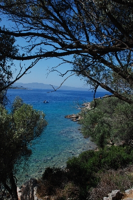 Foto Paisaje mar costa árbol