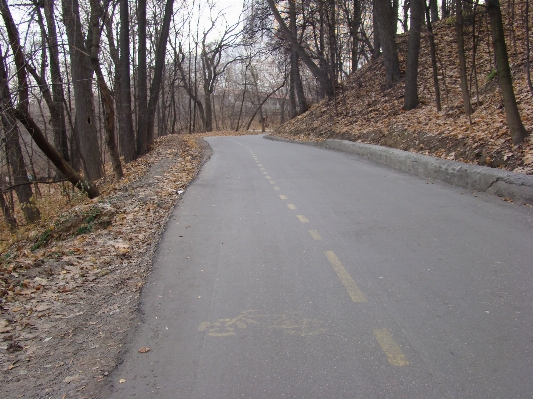 Road trail morning sidewalk Photo