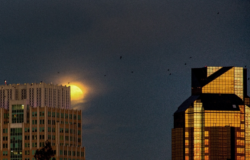 Cakrawala lampu langit matahari terbenam