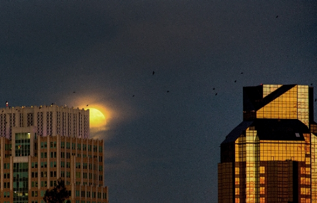 Horizon light sky sunset Photo