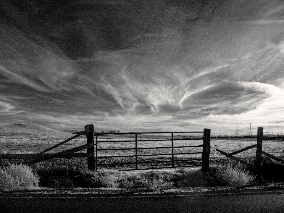 Sea horizon fence cloud