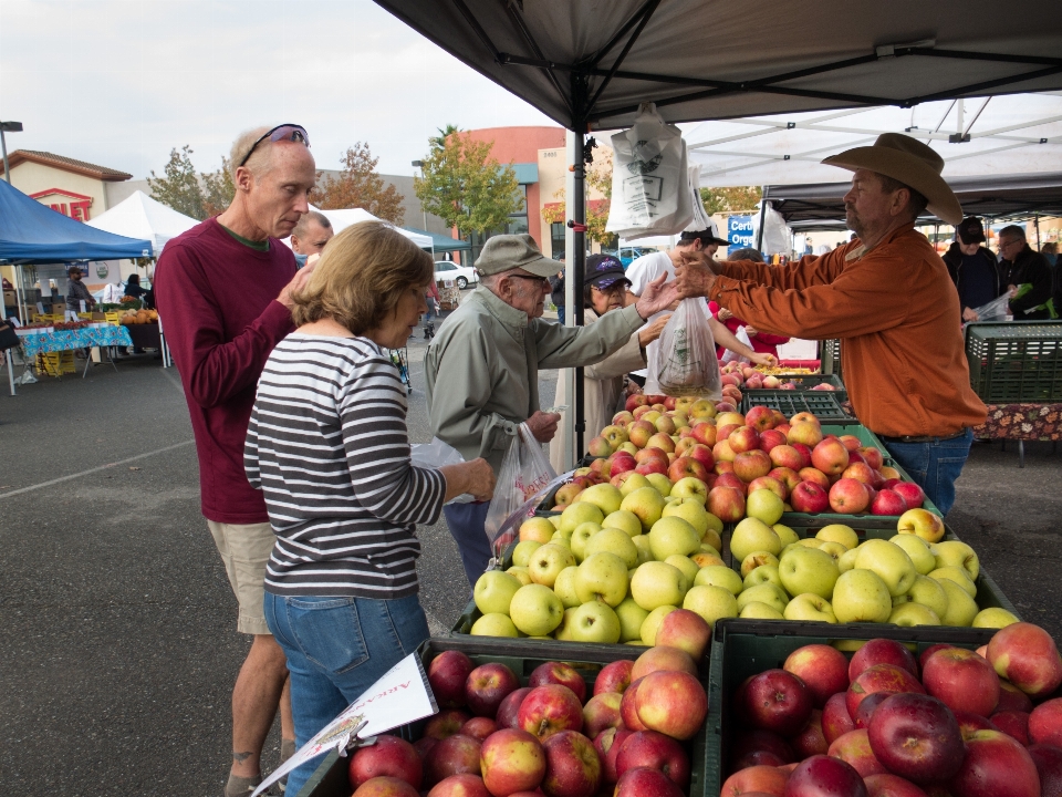 Apple plant fruit city