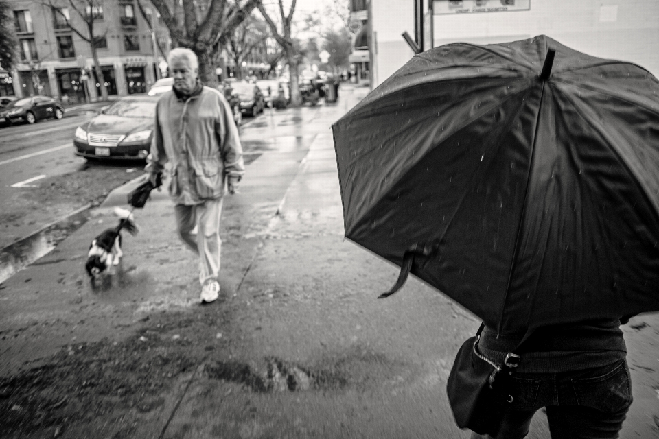 Noir et blanc
 pluie trottoir
 parapluie