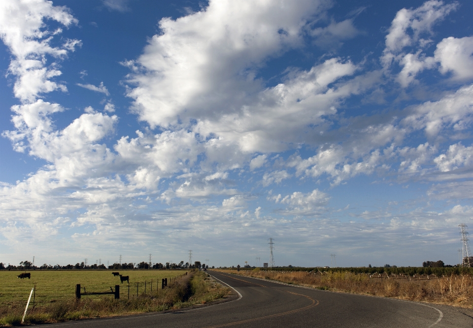 Paysage horizon nuage ciel