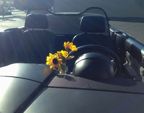 Car wheel flower window Photo