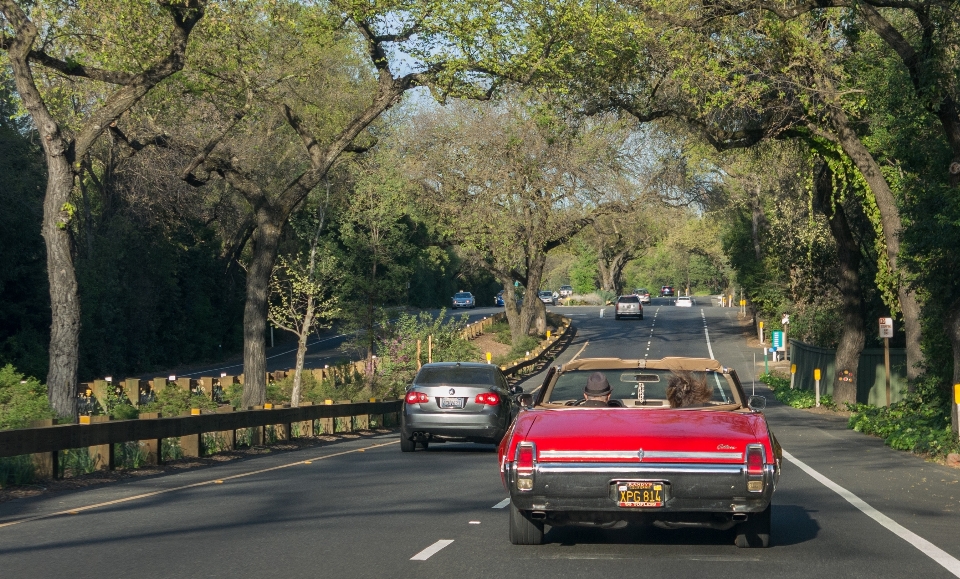 木 道 車 高速道路