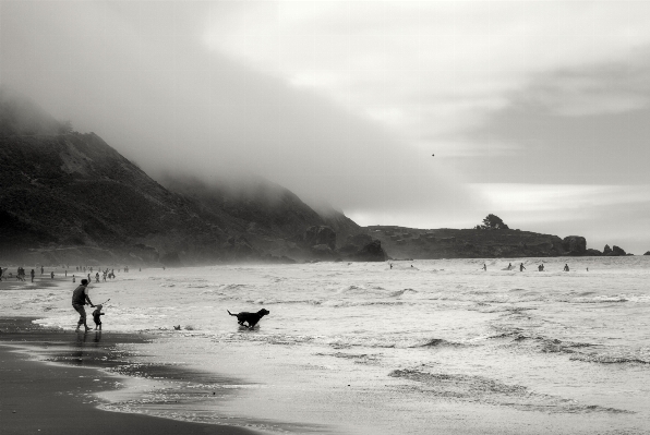 ビーチ 海 海岸 水 写真