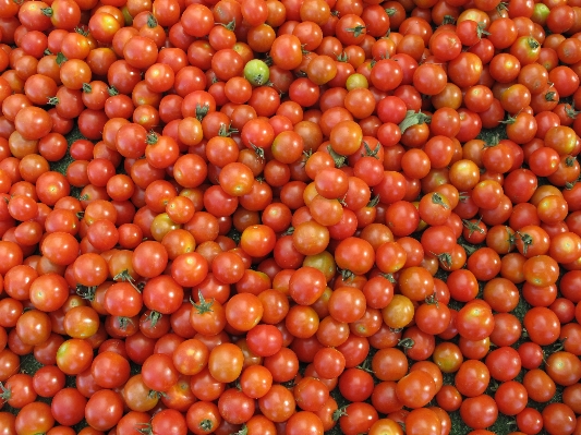 植物 水果 食物 红色的 照片