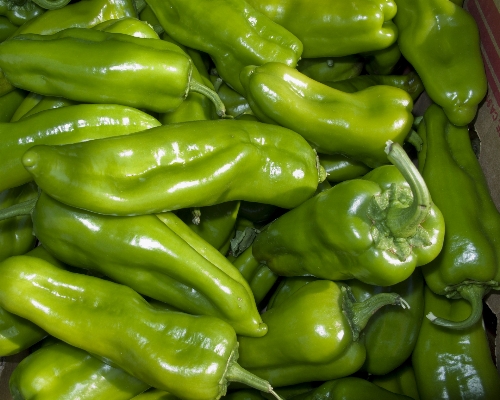 植物 食べ物 緑 生産 写真