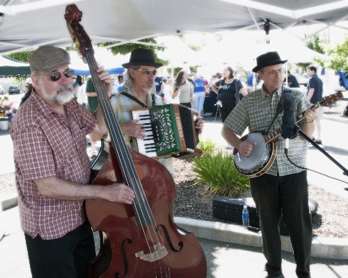 Music musician musical instrument festival Photo