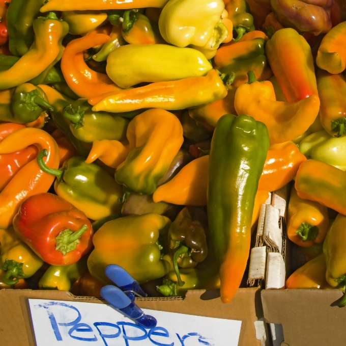 Planta alimento producir verdura