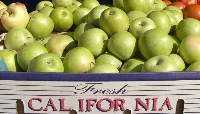 Photo Apple usine fruit nourriture