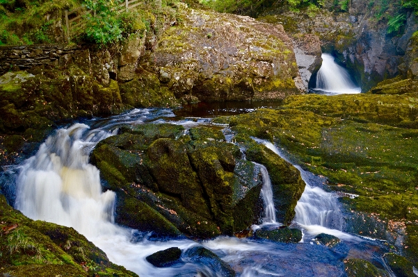 Landscape tree water nature Photo