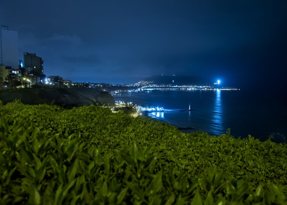 Paysage mer côte herbe