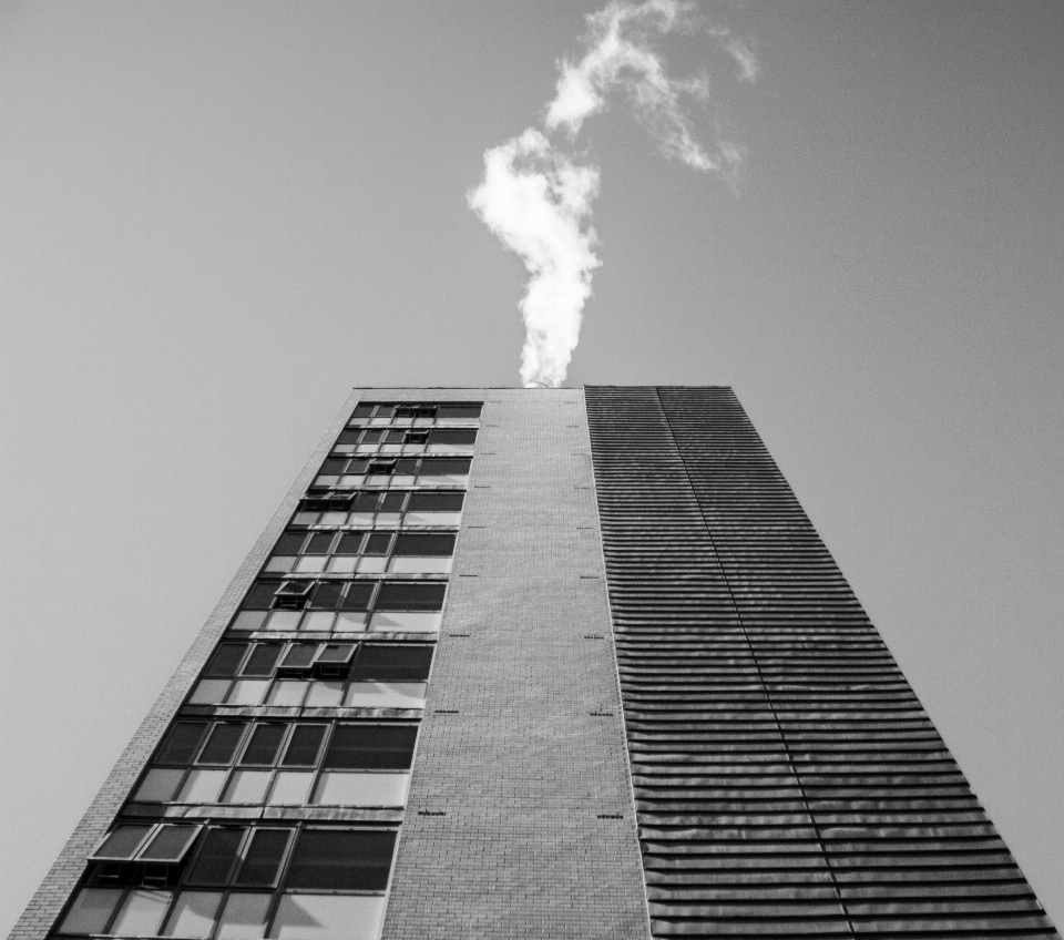 En blanco y negro
 arquitectura steam