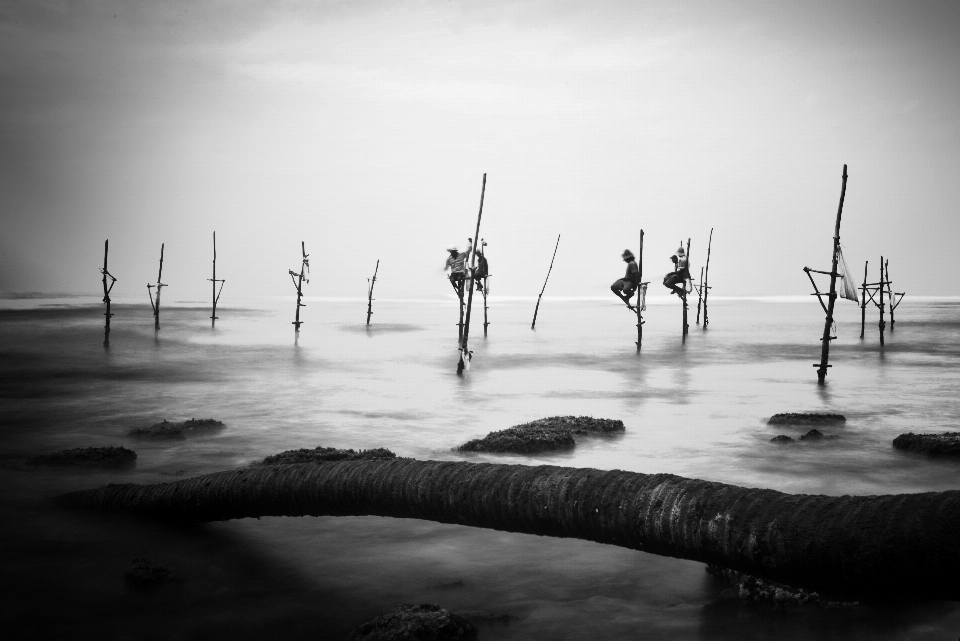 Laut air cakrawala bayangan hitam