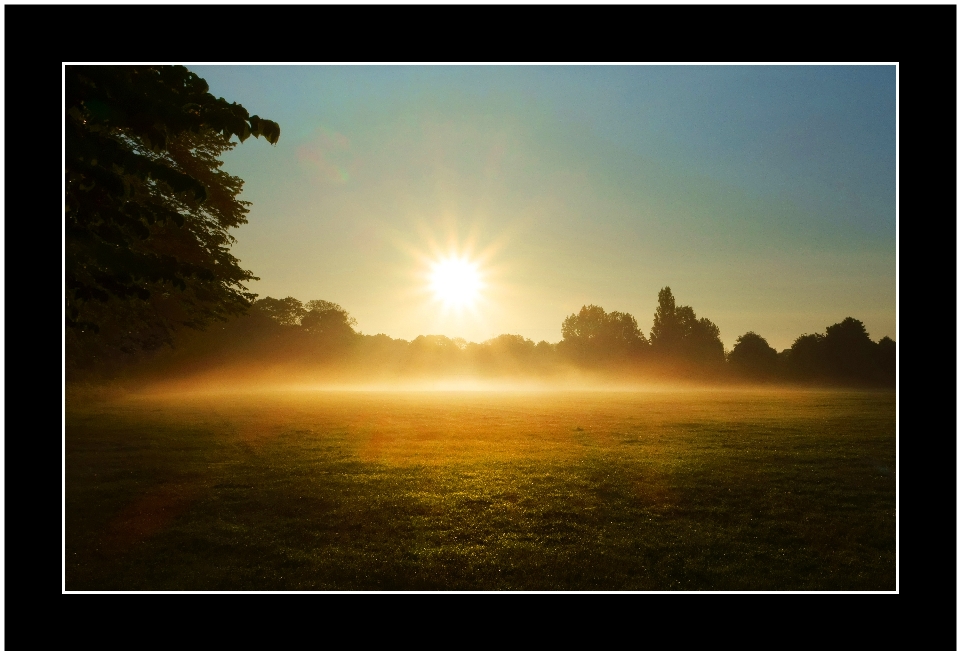 Herbe horizon silhouette ciel