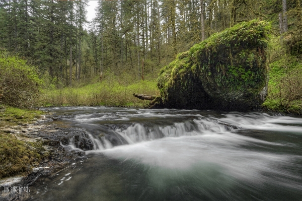 Landscape tree water nature Photo