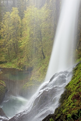 Landscape water nature forest Photo