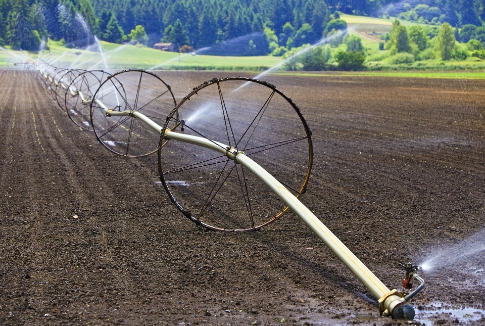 Bekerja lanskap air rumput