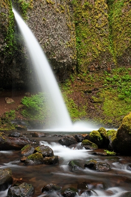 Landscape water nature forest Photo