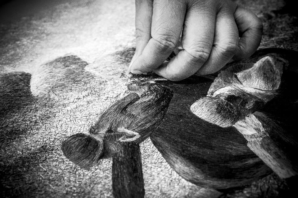 Mano bianco e nero
 fotografia