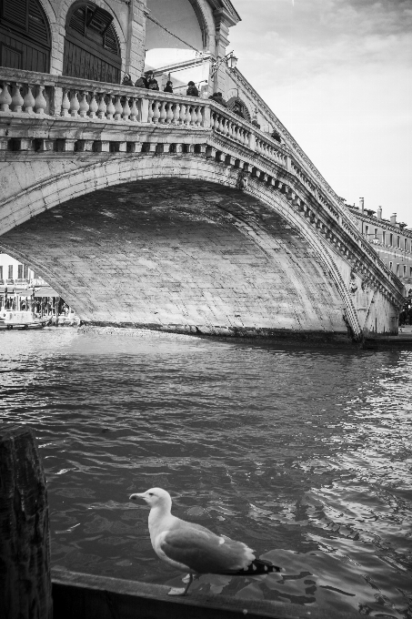 Meer wasser schwarz und weiß
 brücke