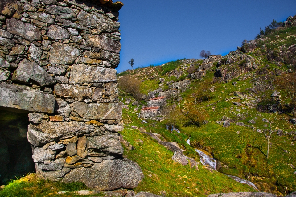 Paisaje costa árbol rock