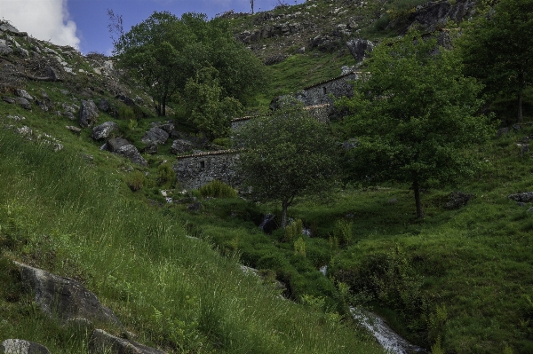 Landscape wilderness walking mountain Photo