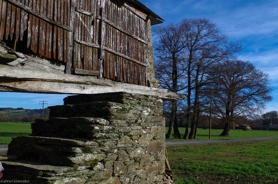 Landschaft baum die architektur haus