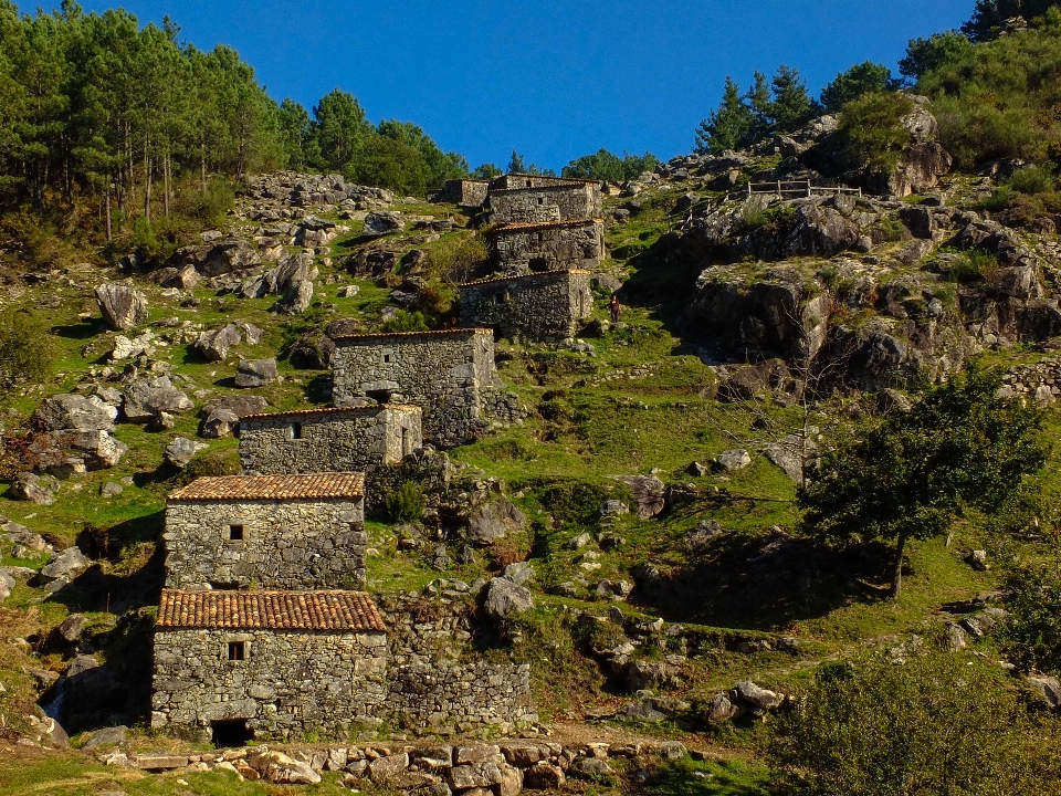 Manzara şehir bina vadi