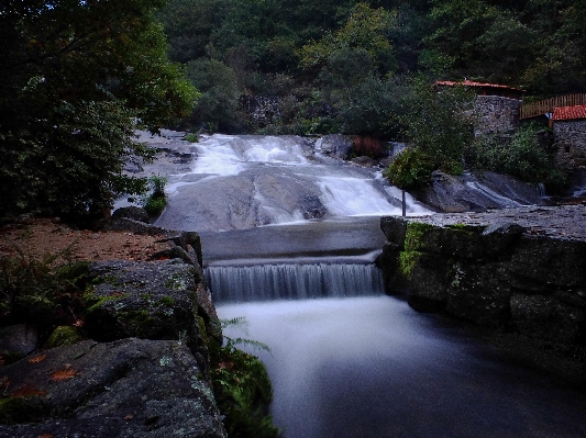 Landscape water nature forest Photo